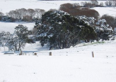 Winter at Gallin Farm